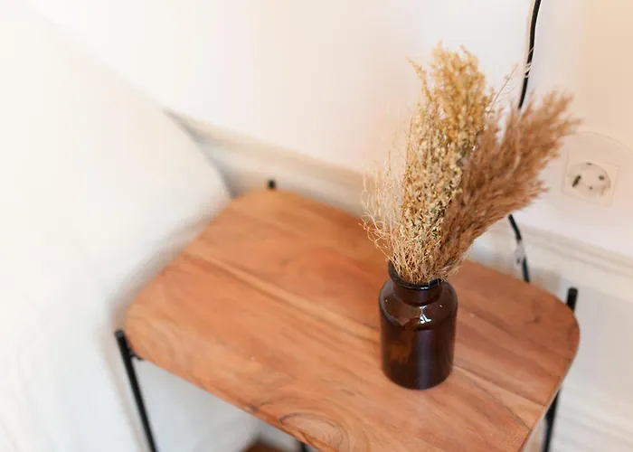 Viva Alameda - River