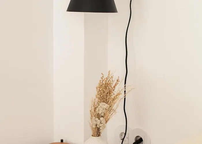 Viva Alameda - River Porto